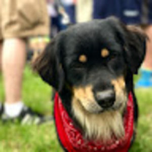 Meet your Posher, Ann